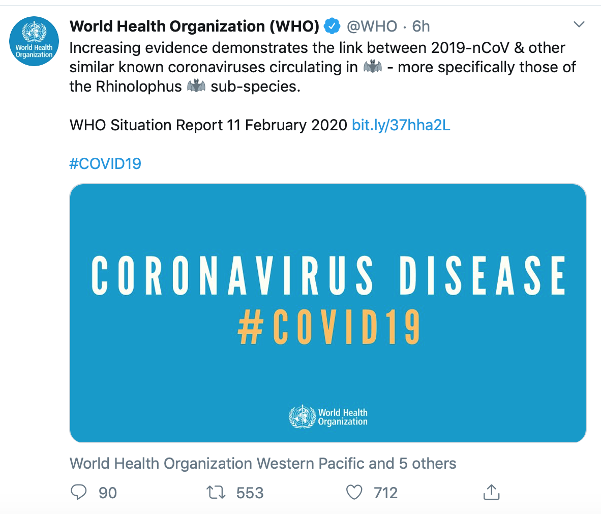 世卫组织最新疫情报告：新冠病毒与菊头蝠冠状病毒有关联