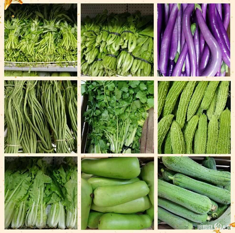 微信图片_20200410111727