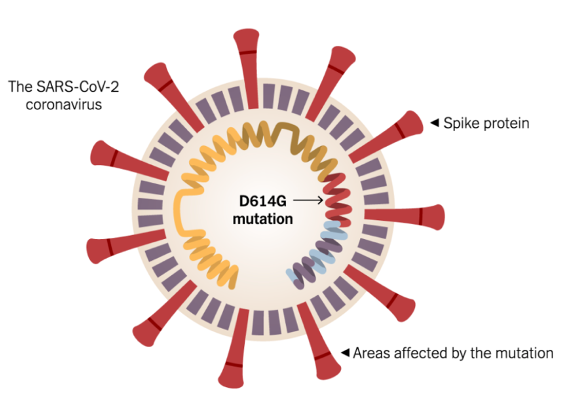 图3(图片源自网络)