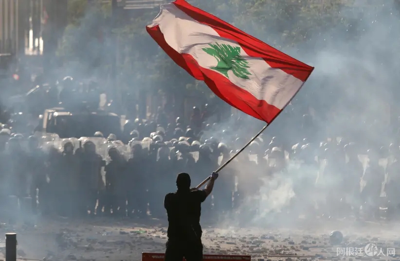 1597078644722665.jpg 461912.webp.jpg