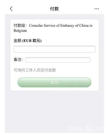 截图:付款页面 点击进入下一页