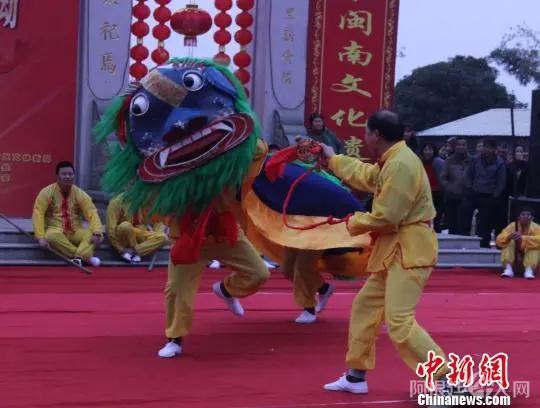 图为泉州刣狮表演。 廖静 摄 图为泉州刣狮表演。 廖静 摄