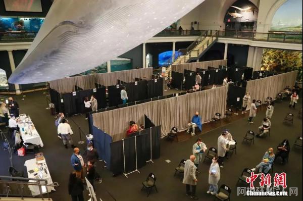 资料图:当地时间4月23日,位于纽约的美国自然历史博物馆开辟米尔斯坦海洋生物大厅为新冠疫苗接种点,为18岁以上的纽约居民接种新冠疫苗。中新社记者 谭宏伟 摄 资料图:当地时间4月23日,位于纽约的美国自然历史博物馆开辟米尔斯坦海洋生物大厅为新冠疫苗接种点,为18岁以上的纽约居民接种新冠疫苗。中新社记者 谭宏伟 摄