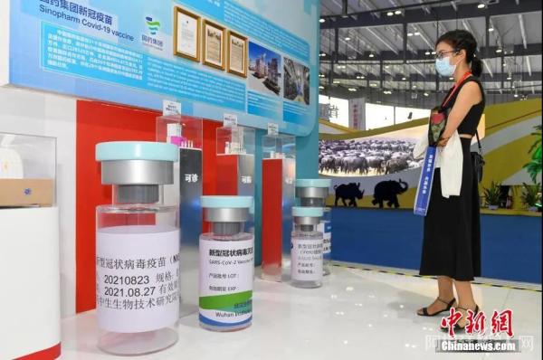 资料图:新冠疫苗模型。杨华峰 摄 资料图:新冠疫苗模型。杨华峰 摄