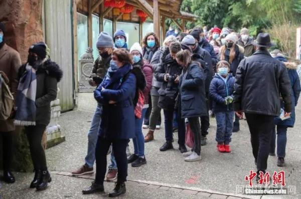 图为大批民众排队等候入园，希望能尽早看到“欢黎黎”“圆嘟嘟”。 中新社发 法国博瓦勒动物园供图
