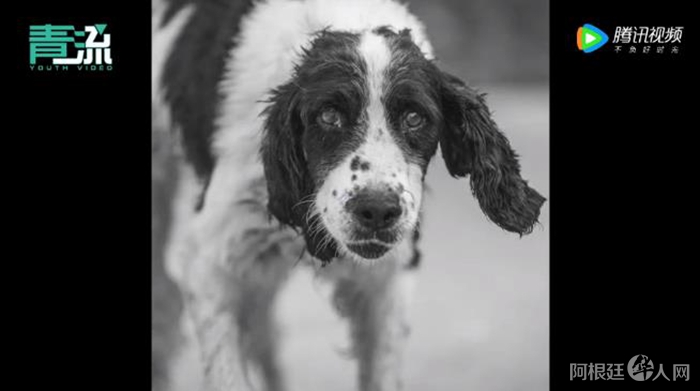 来源：视频截图