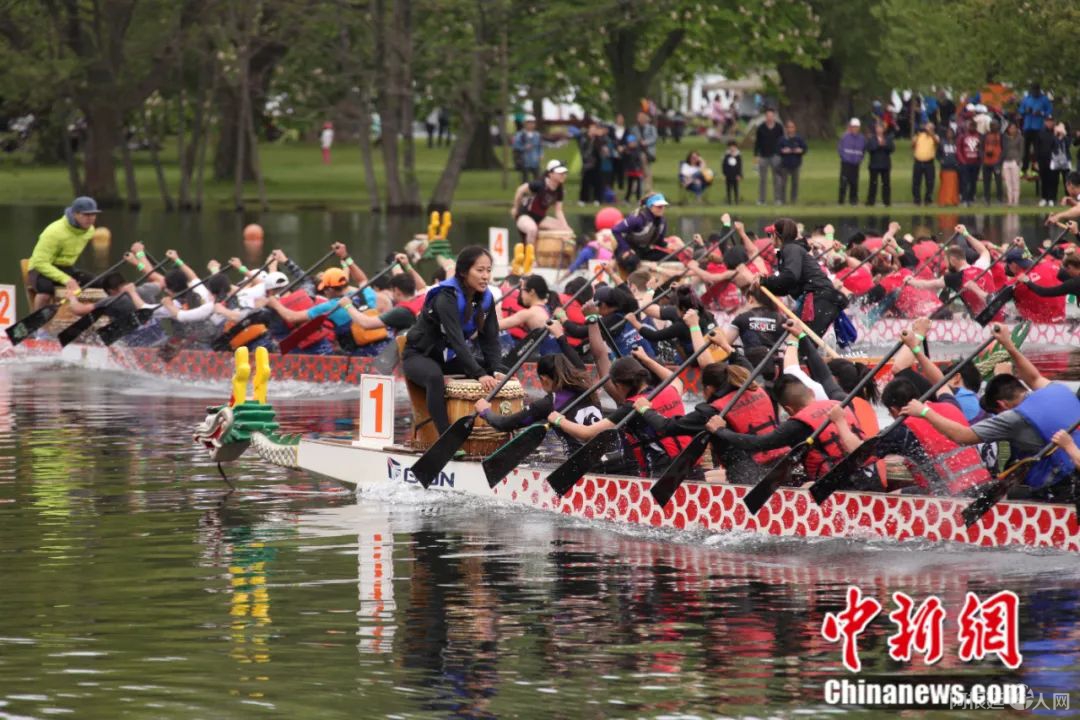 参赛选手在多伦多国际龙舟节上竞渡。<a target='_blank' href='/'>中新社</a>记者 余瑞冬 摄
点击进入下一页