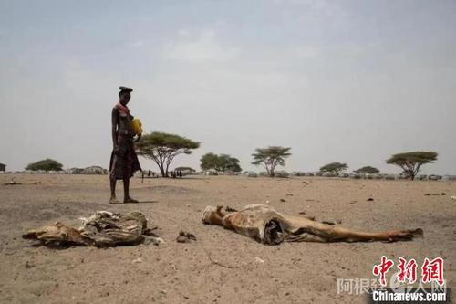 埃塞俄比亚南奥莫地区遭遇严重干旱。　WFP供稿　摄