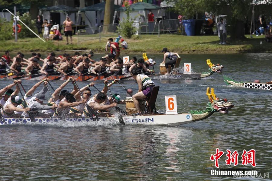 加拿大多伦多龙舟赛。中新社记者 余瑞冬 摄 加拿大多伦多龙舟赛。中新社记者 余瑞冬 摄