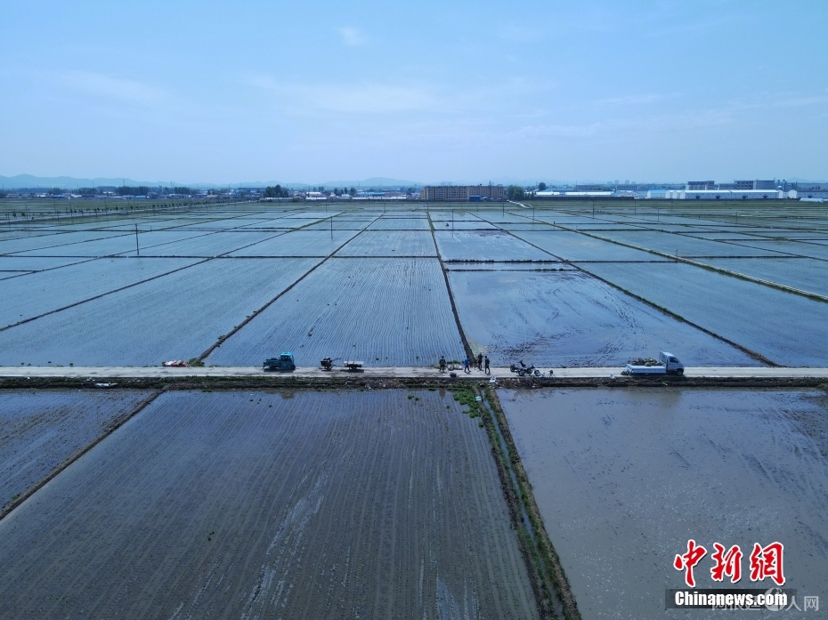 图为5月28日，大荒地村村民准备下稻田劳作。(无人机照片) 中新社记者 苍雁 摄
