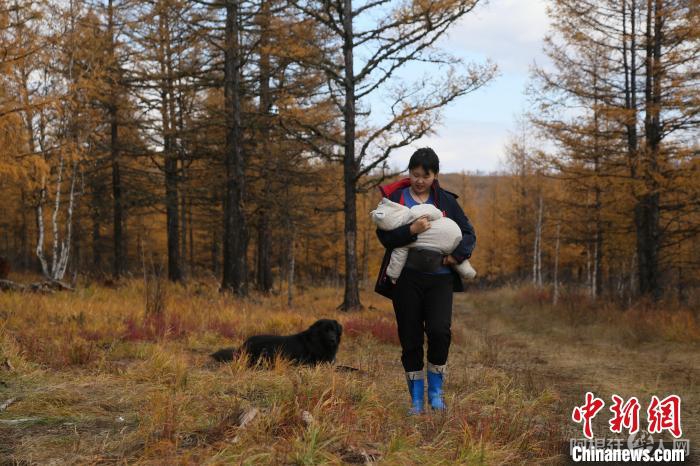 图为金兰迪抱着儿子在林间散步。　古木森供图
