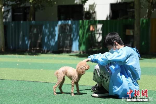 工作人员在室外同宠物狗玩耍。 中新社记者 蒋启明 摄
