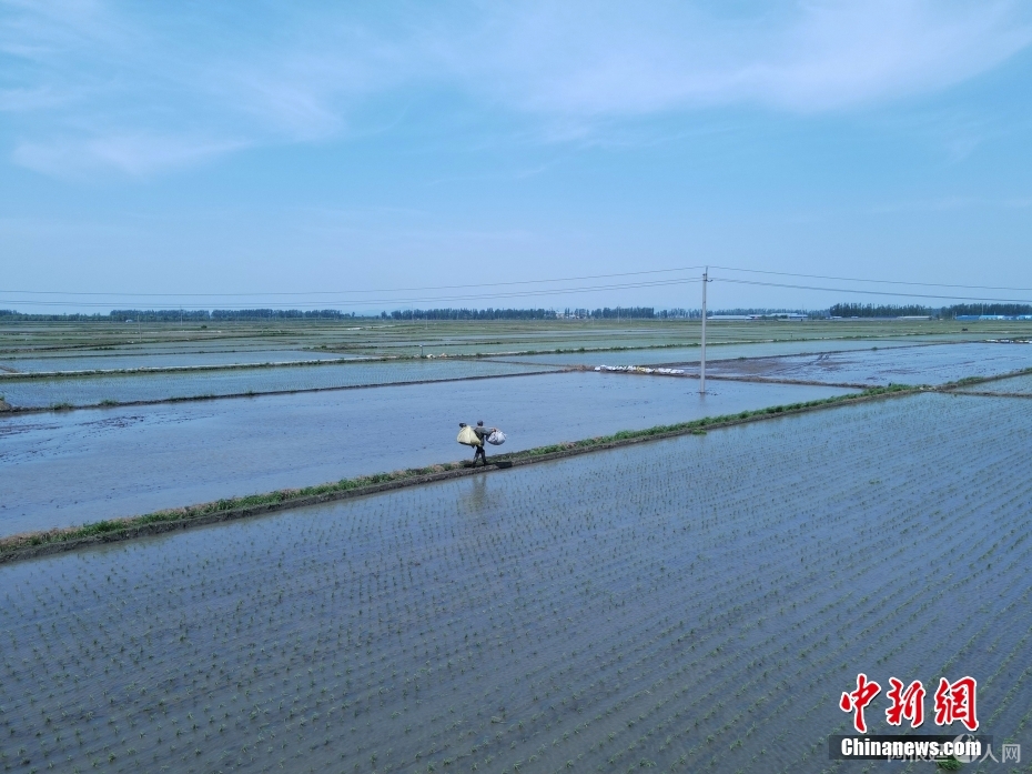 图为5月28日，大荒地村村民在田间搬运农资。(无人机照片) 中新社记者 苍雁 摄