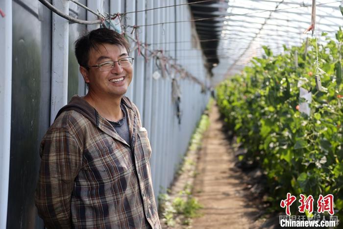 资料图为2022年7月10日，在加拿大阿尔伯塔省奥尔兹(Olds)小镇的“悠鲜美地”农场，“董菜菜”在自己搭建的第一座暖棚内查看作物。中新社记者 余瑞冬 摄