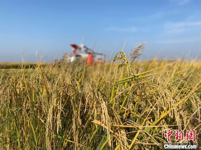 资料图。张玮 摄