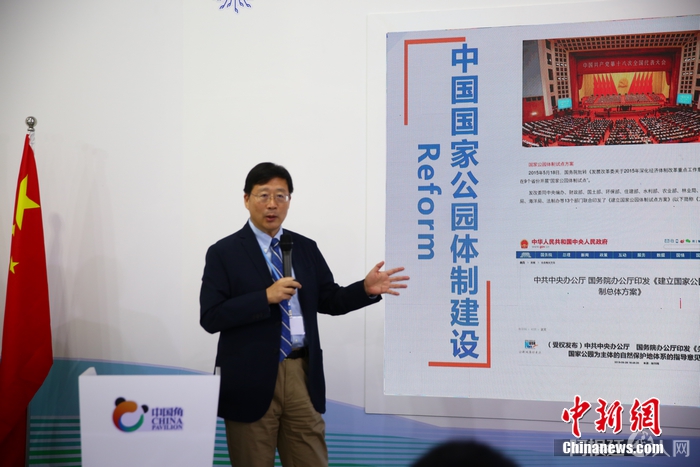图为王毅在“气候传播与公众意识边会”上进行演讲。 中新网记者 陈天浩 摄