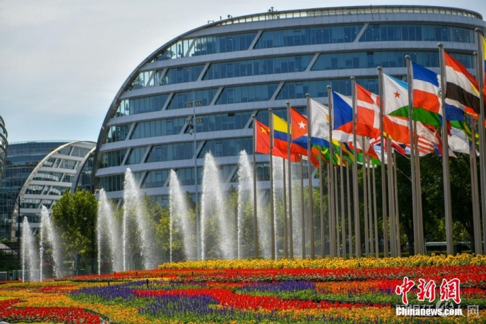 第五届进博会场馆景观装饰全面定妆。 陈梦泽 摄 第五届进博会场馆景观装饰全面定妆。 陈梦泽 摄