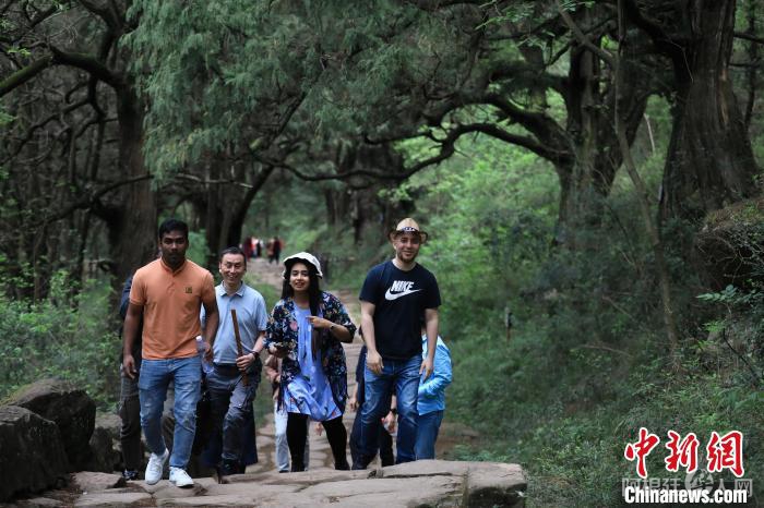 国际媒体人行走在古蜀道上。 王磊 摄 国际媒体人行走在古蜀道上。 王磊 摄