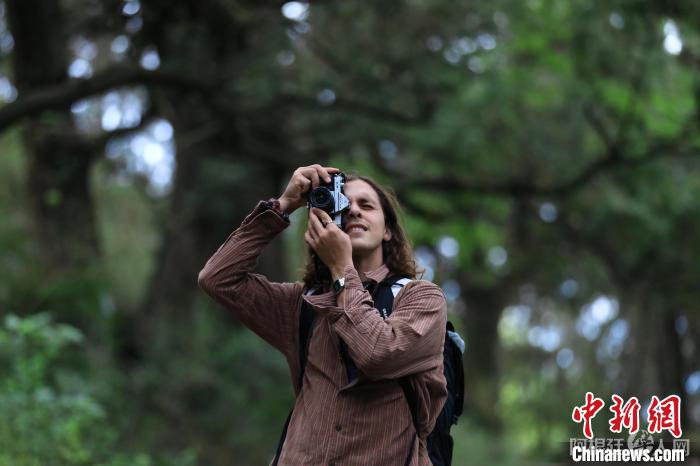 一位国际媒体人拍摄古蜀道两侧的千年古柏。 王磊 摄 一位国际媒体人拍摄古蜀道两侧的千年古柏。 王磊 摄