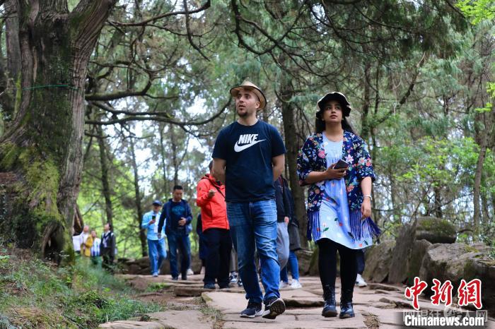 国际媒体人行走在古蜀道上。 王磊 摄 国际媒体人行走在古蜀道上。 王磊 摄