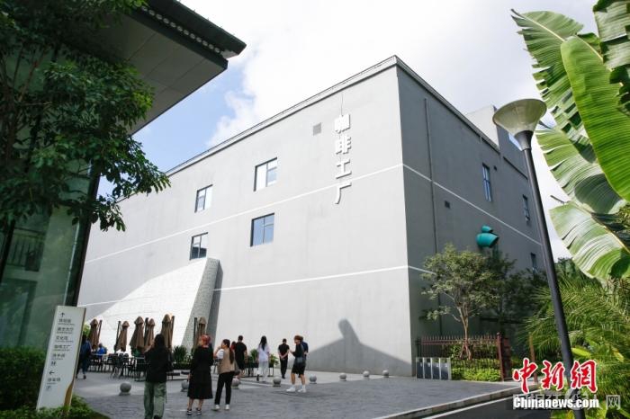 图为采访团一行参观咖啡工厂。 曹淼欣 摄