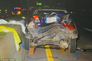 加拿大女子高速路停车避让过路野鸭 致2人死亡