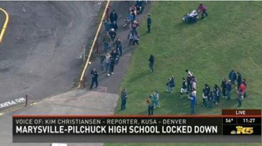 美国1天发生2起严重枪击血案 已致4人死亡