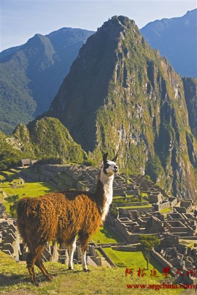 纯净的南美是“极好的”(1)