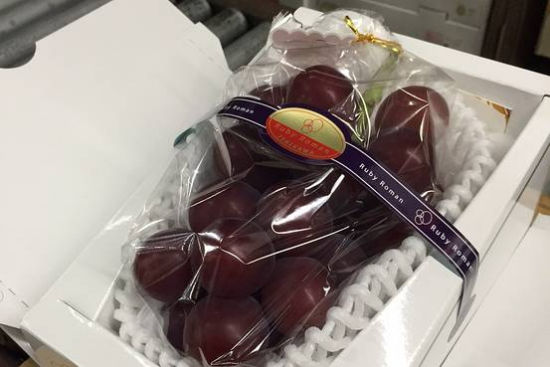 图为“浪漫红宝石”品种的葡萄。