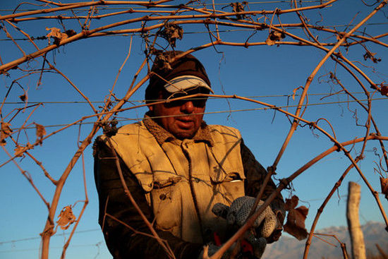 探寻阿根廷葡萄酒真味之旅
