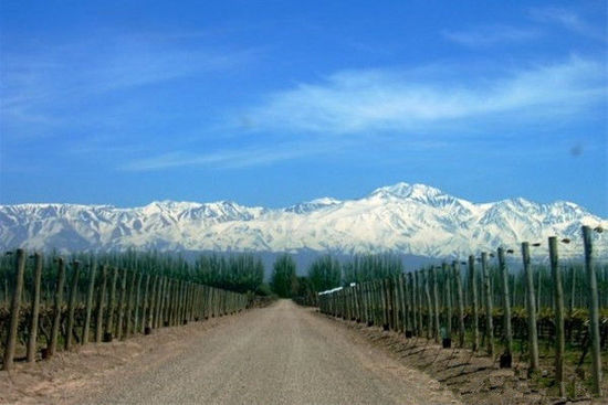 探寻阿根廷葡萄酒真味之旅