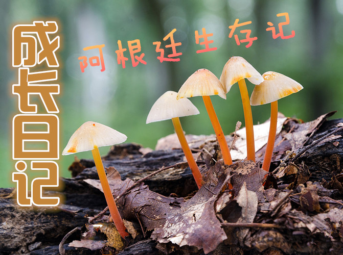 说明: c:/users/administrator/appdata/roaming/360se6/User Data/temp/640_wx_fmt=jpeg&tp=webp&wxfrom=5.webp.jpg