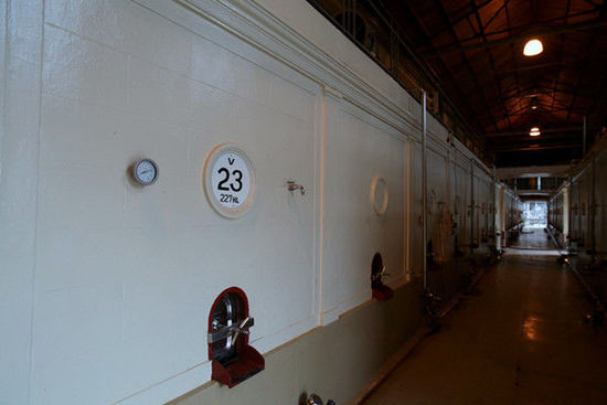 探寻阿根廷葡萄酒真味之旅