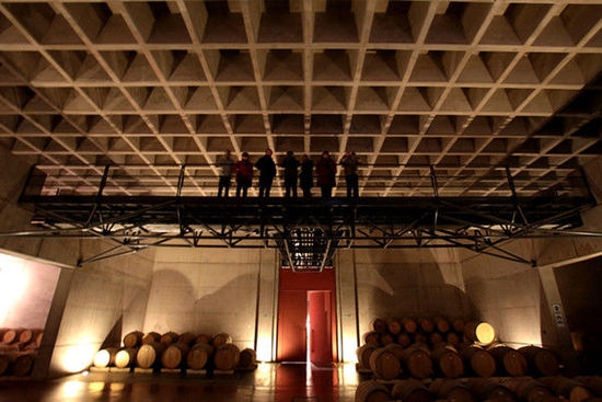 探寻阿根廷葡萄酒真味之旅