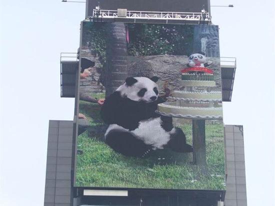 以世界最长寿大熊猫“巴斯”为主角的3D动画片《巴斯向世界人民问好》近日在纽约时报广场“中国屏”上滚动播出。