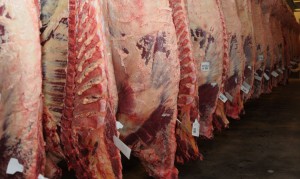 Carne-Exportación-300x179.jpg