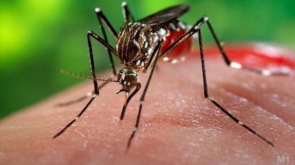 1519440539990068.jpg 11.jpg