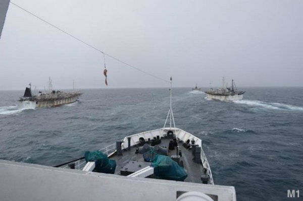 1519641631524395.jpg 42.jpg