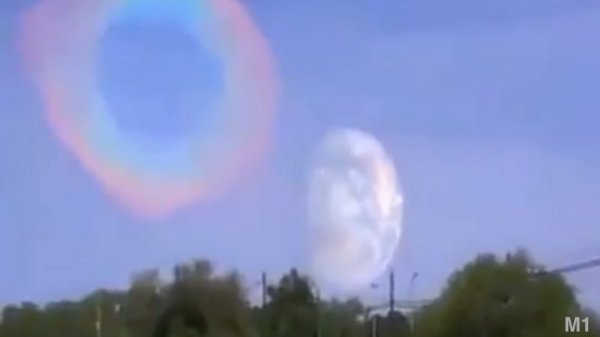 1519798736228088.jpg 21.jpg