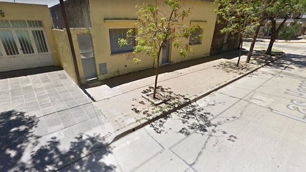 1523669455813244.jpg escruche_chino_chino.jpg_501420591.jpg