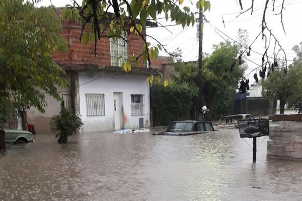 1525074242163139.jpg 22.jpg