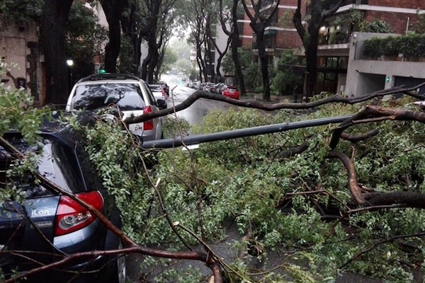 1525074293214705.jpg 24.jpg