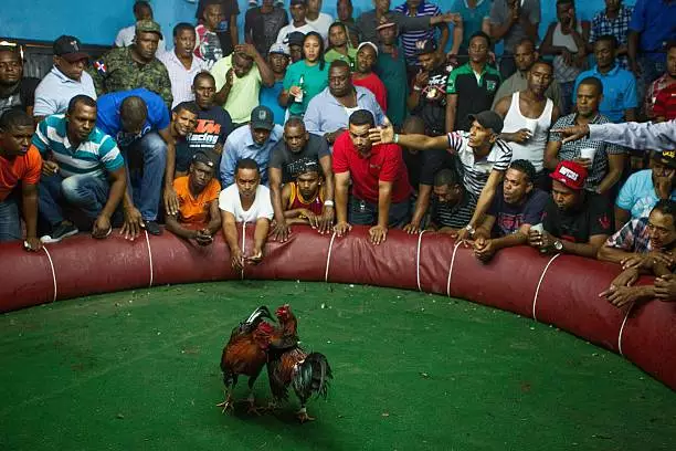 1525350415219871.png NyOCL0hlm4pL0wjIb2m7YnQn4hoDZ3auSN%3DxLI4J%3Ddu1B1525340779526transferflag.png