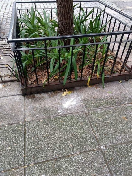 1525771229376663.jpg 23.jpg