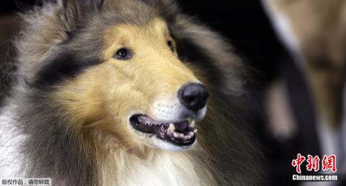 1526131368139671.jpg 46663827dbc44b93acea22b9c983e32f20180512110849.jpg