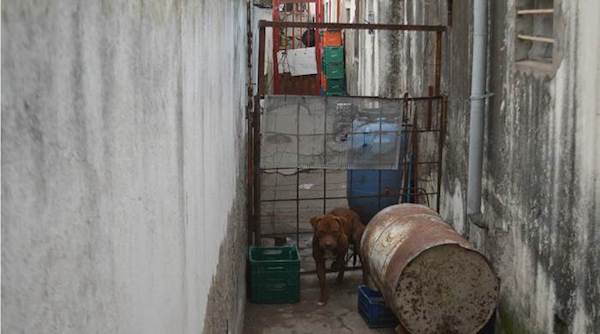 1527907386495824.jpg 21.jpg