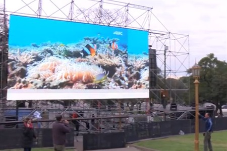 1528696143748269.jpg 31.jpg