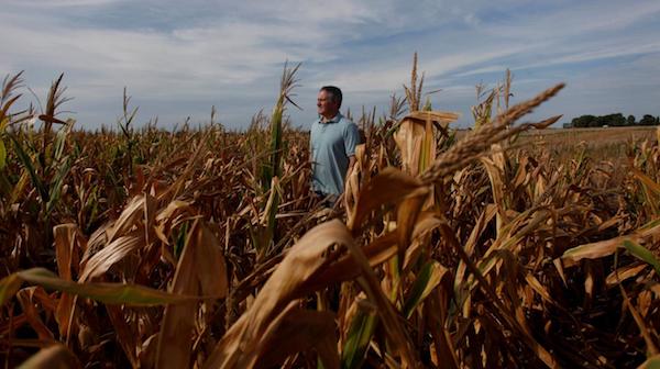 1530002648527077.jpg 31.jpg