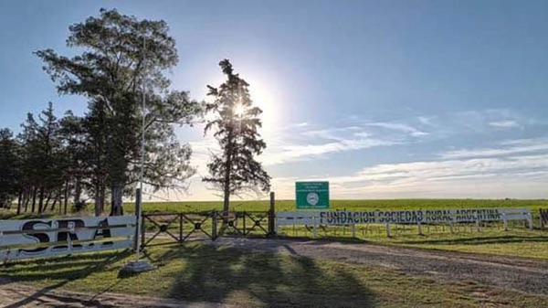 1530258550271221.jpg 51.jpg