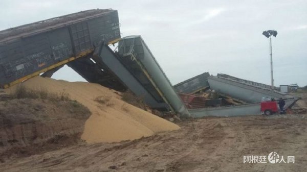 1530851494510098.jpg 21.jpg